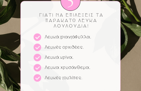 Λευκά λουλούδια | Τι συμβολίζουν!
