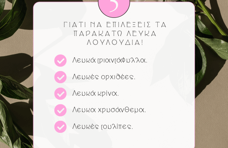 Λευκά λουλούδια | Τι συμβολίζουν!