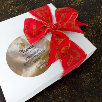 Η χριστουγεννιάτικη συλλογή μας! (5)