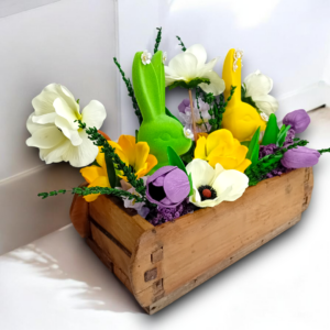 20260217_194634-Photoroom