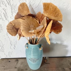 Κεραμικό ανθοδοχείο με αποξηραμένα sponge mushrooms!
